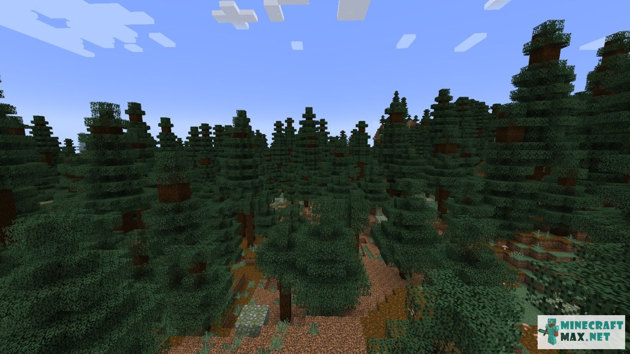 Modem in Minecraft | Screenshot 3698
