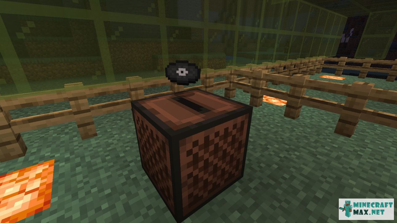 Black gem in Minecraft | Screenshot 168