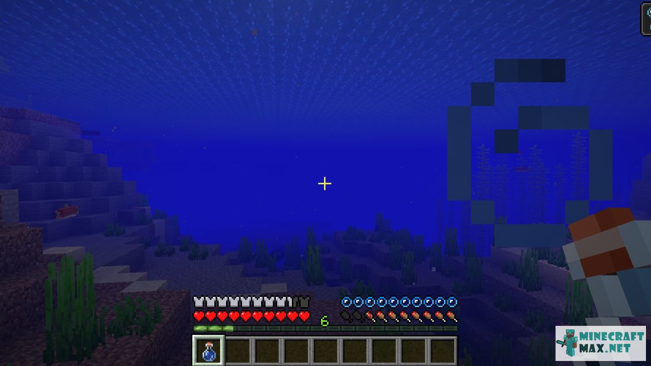 Black gem in Minecraft | Screenshot 3748