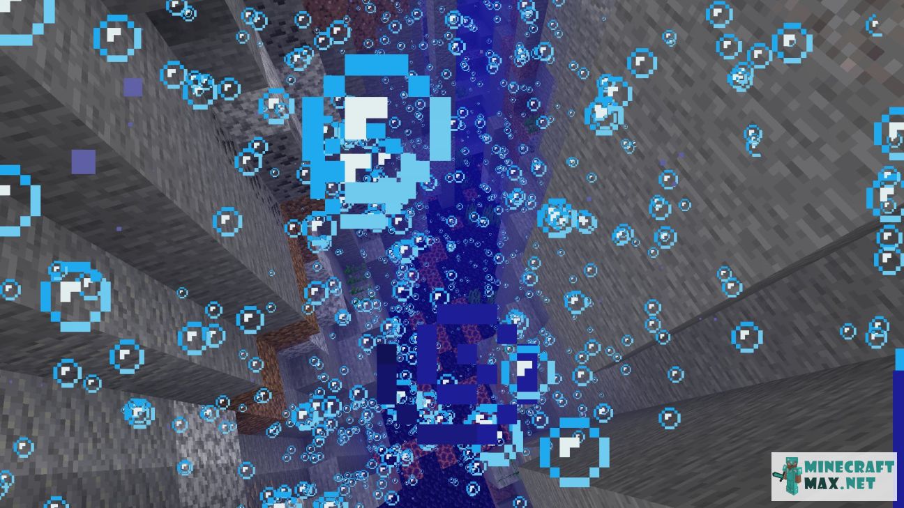 Black gem in Minecraft | Screenshot 1582