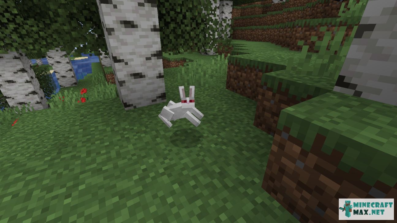 Modem in Minecraft | Screenshot 1304