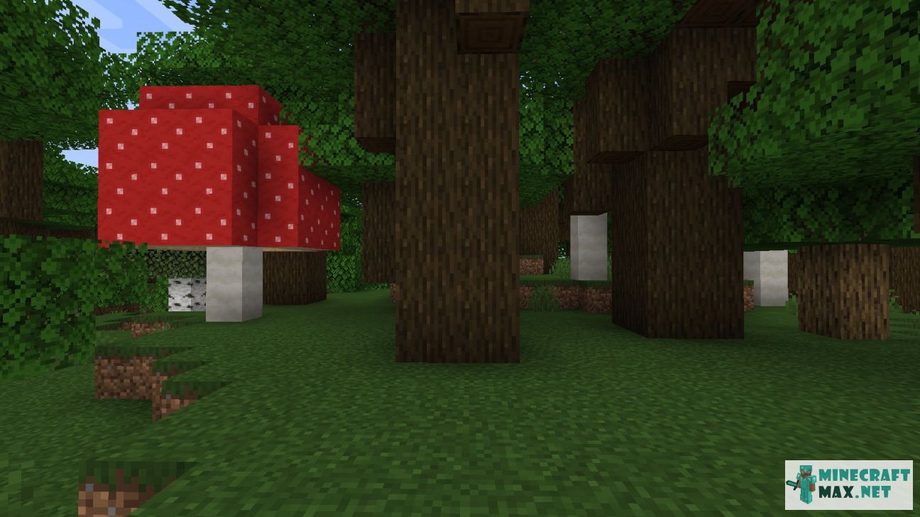 Modem in Minecraft | Screenshot 1016