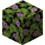 Flowering Azalea Leaves in Minecraft