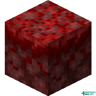 Crimson Nylium in Minecraft