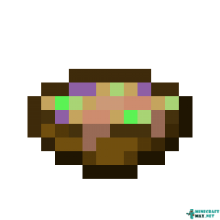 Suspicious Stew (Blindness) in Minecraft