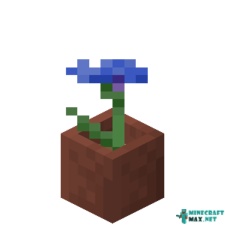 Potted Cornflower in Minecraft