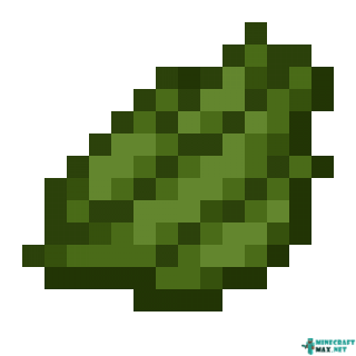 Green Dye in Minecraft