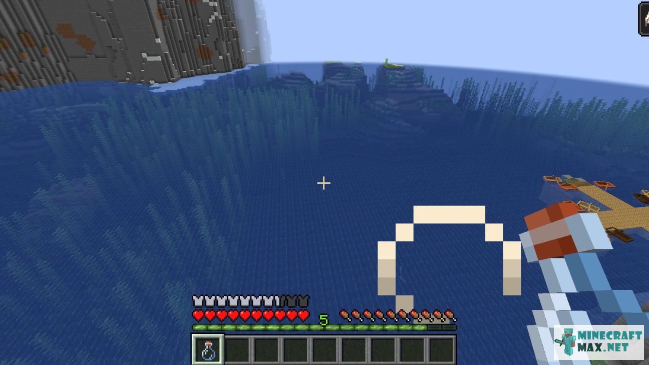 Black gem in Minecraft | Screenshot 3776
