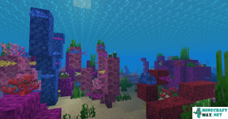 Coral reef in Minecraft