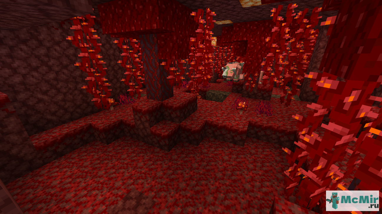  | Screenshot 9