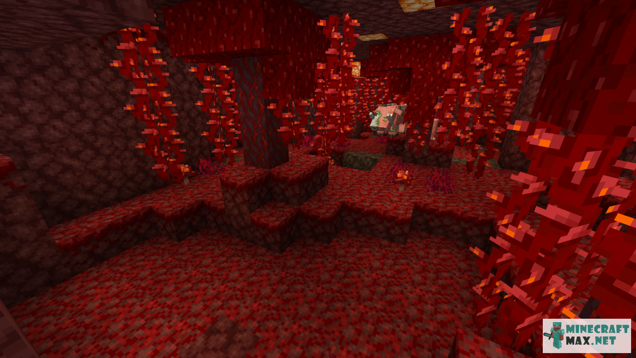  | Screenshot 9