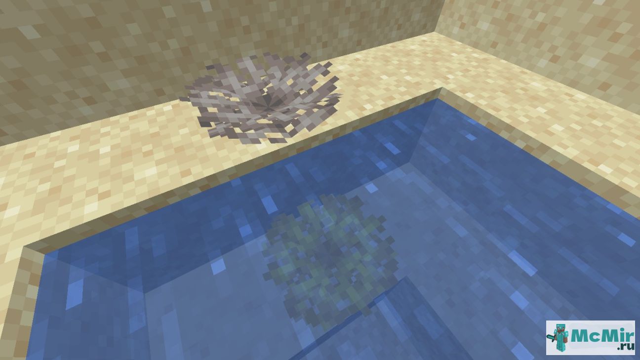 Как сделать мёртвый веерный роговый коралл в Майнкрафт | Screenshot 1