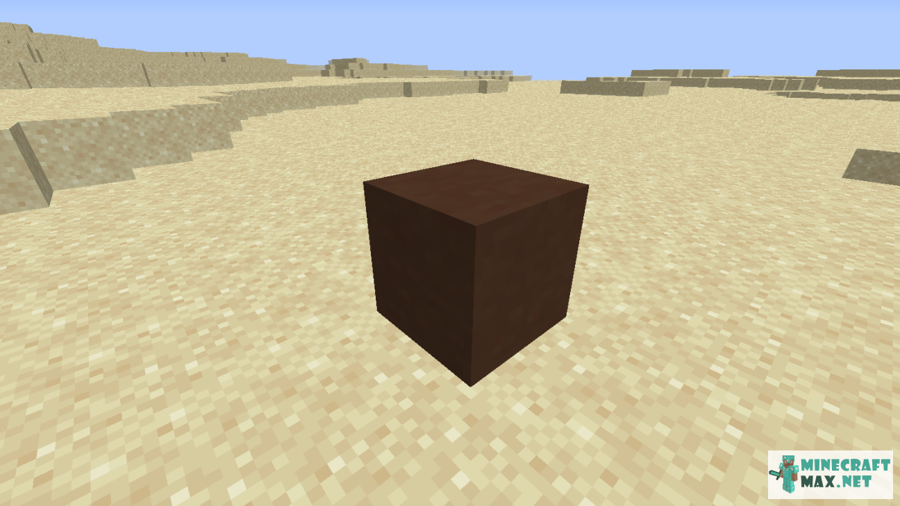 Black gem in Minecraft | Screenshot 1158