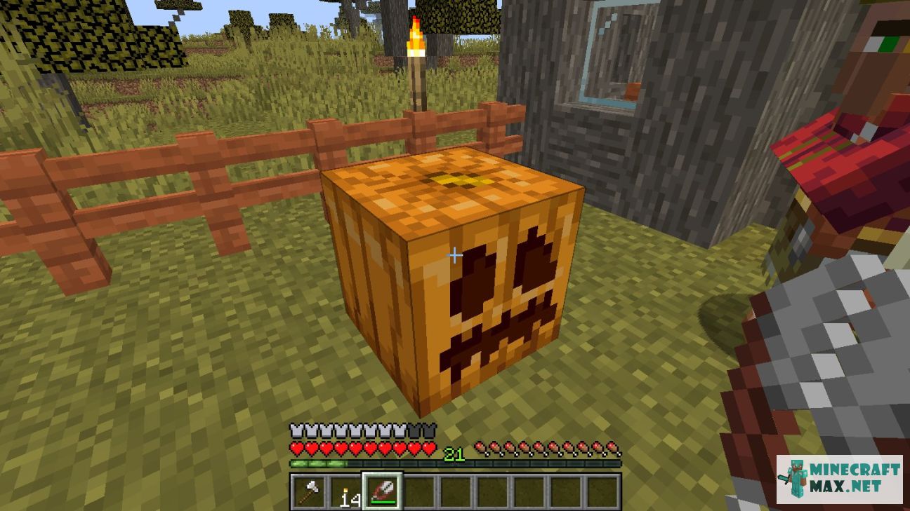 Modem in Minecraft | Screenshot 2945