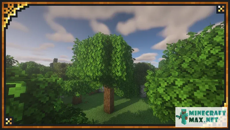 Xali's Bushy Leaves | Download texture for Minecraft: 1