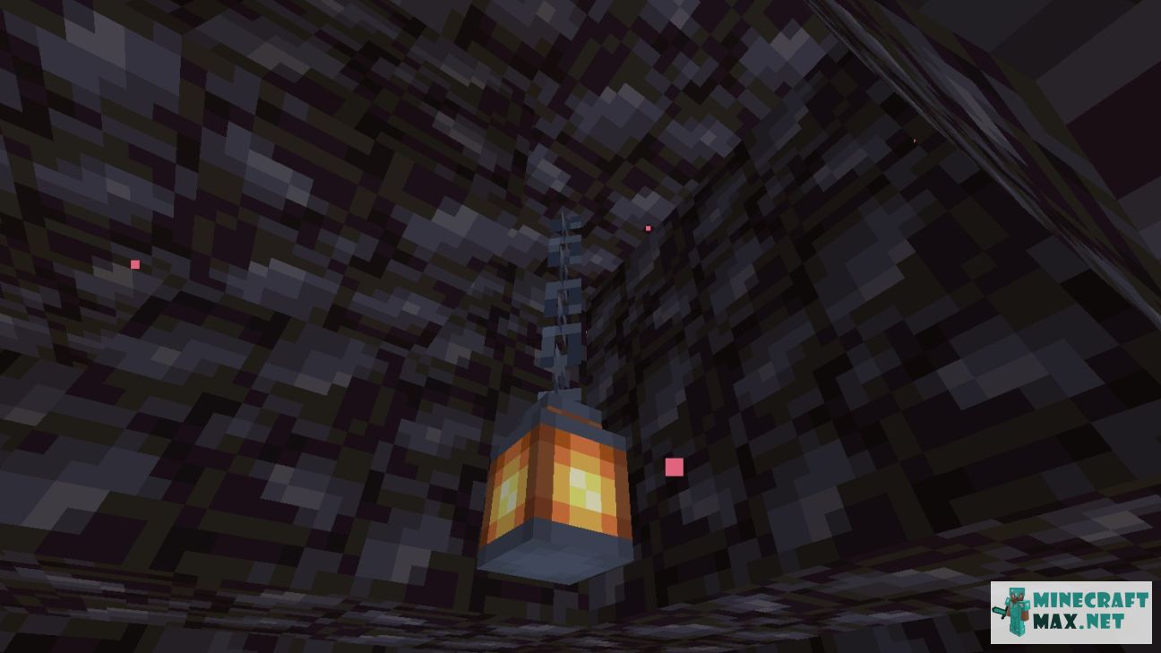 Black gem in Minecraft | Screenshot 2317