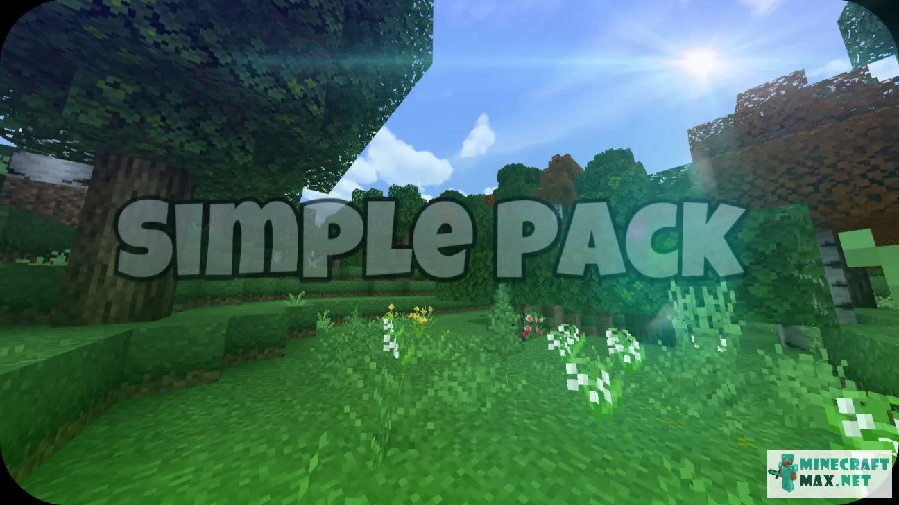 Simple Pack | Download texture for Minecraft: 1