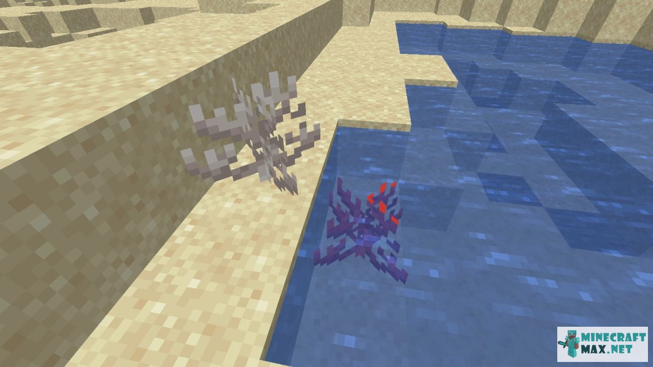 Dead Fire Coral in Minecraft | Screenshot 1