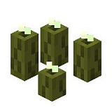 Sea Pickle in Minecraft