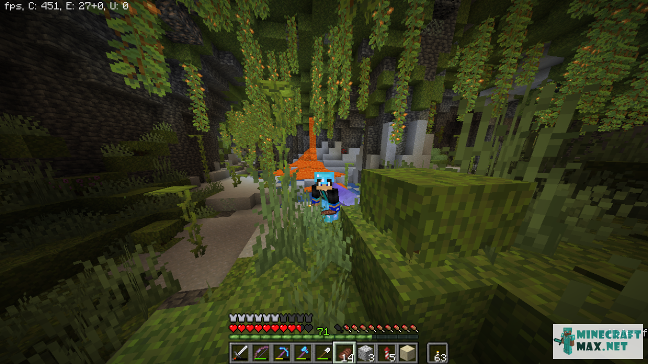 Quests Find lush caves on the website for Minecraft | Screenshot 3