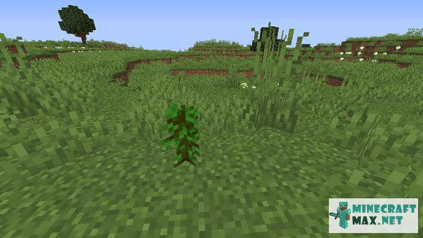 Jungle Sapling How To Craft Jungle Sapling In Minecraft Minecraft Wiki 