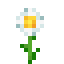 Oxeye Daisy in Minecraft