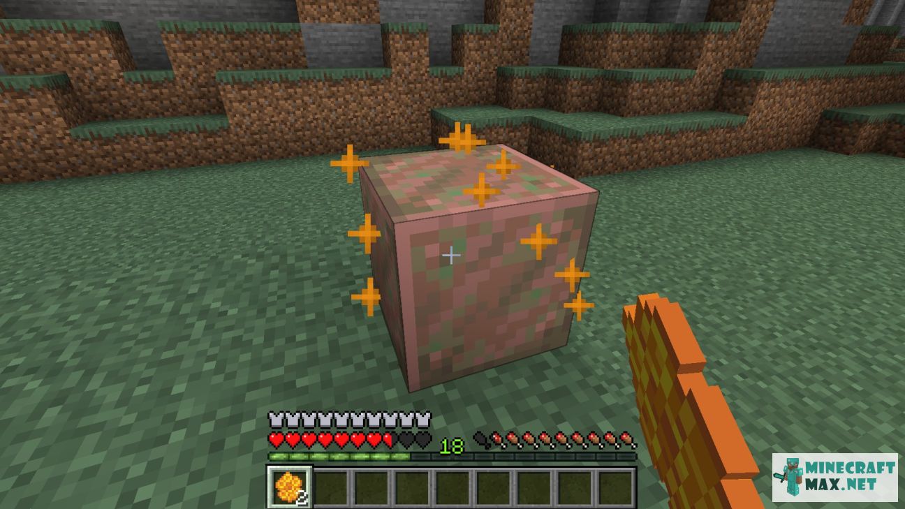 Black gem in Minecraft | Screenshot 3369