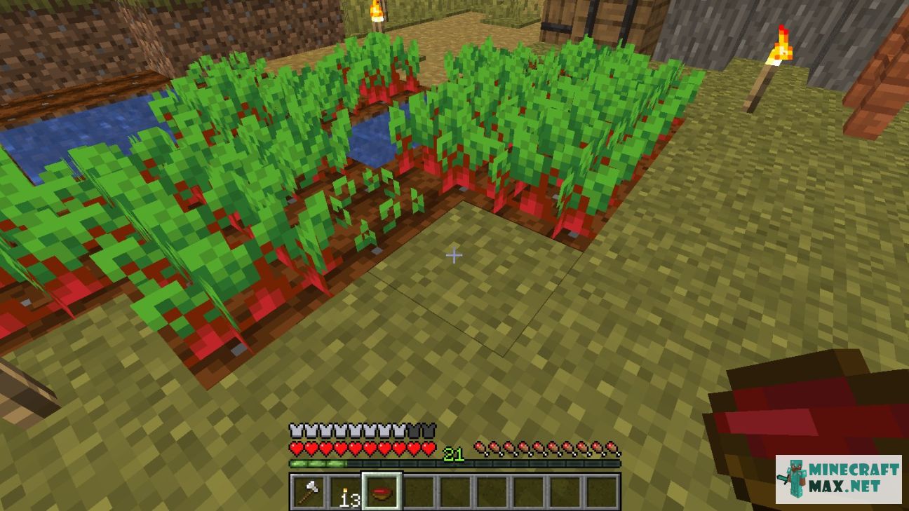 Beetroot Soup in Minecraft | Screenshot 1