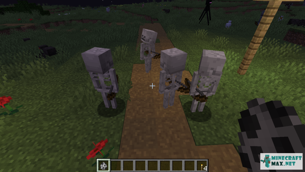 Modem in Minecraft | Screenshot 1475