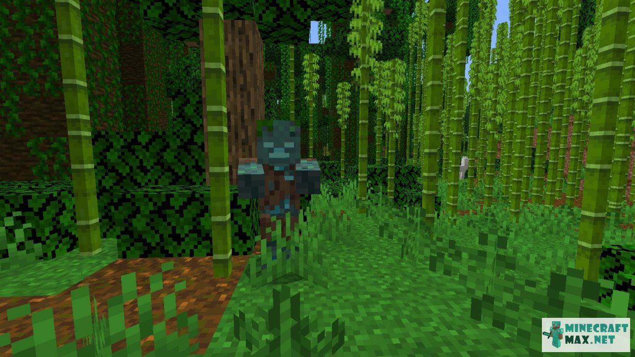 Modem in Minecraft | Screenshot 2499