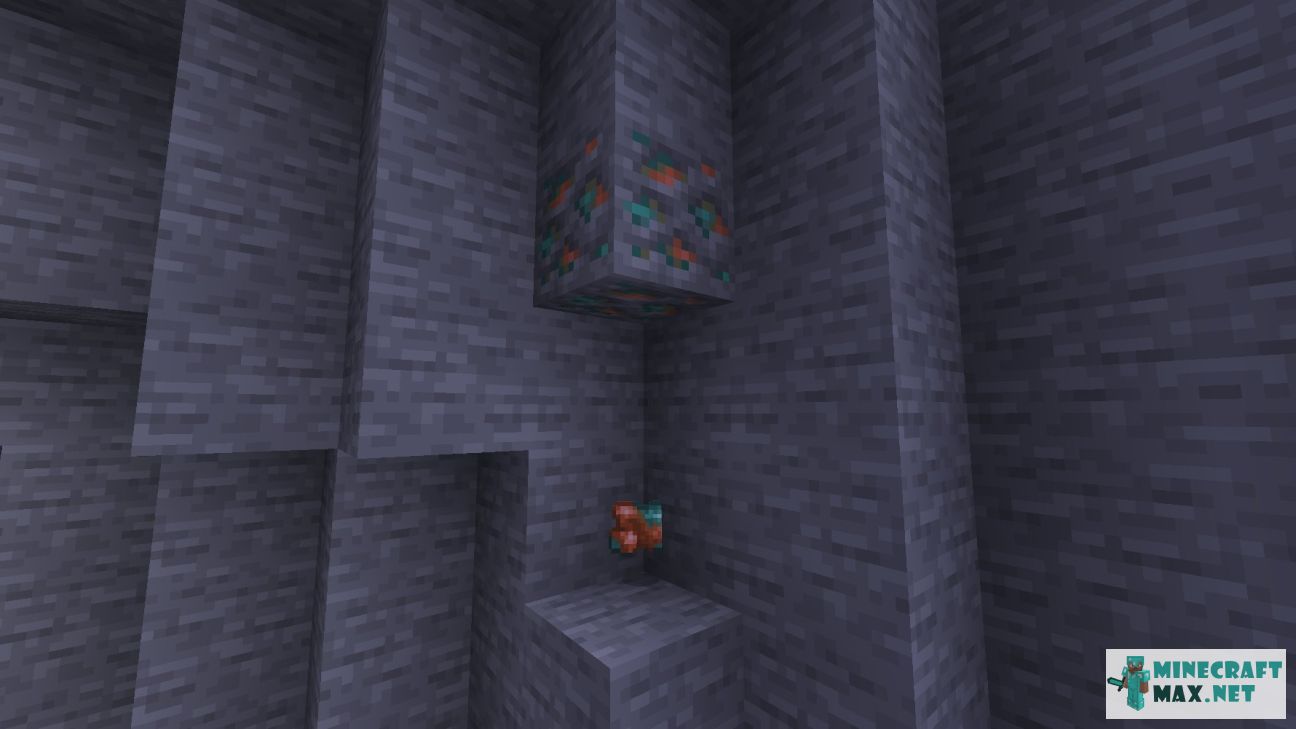 Black gem in Minecraft | Screenshot 3453