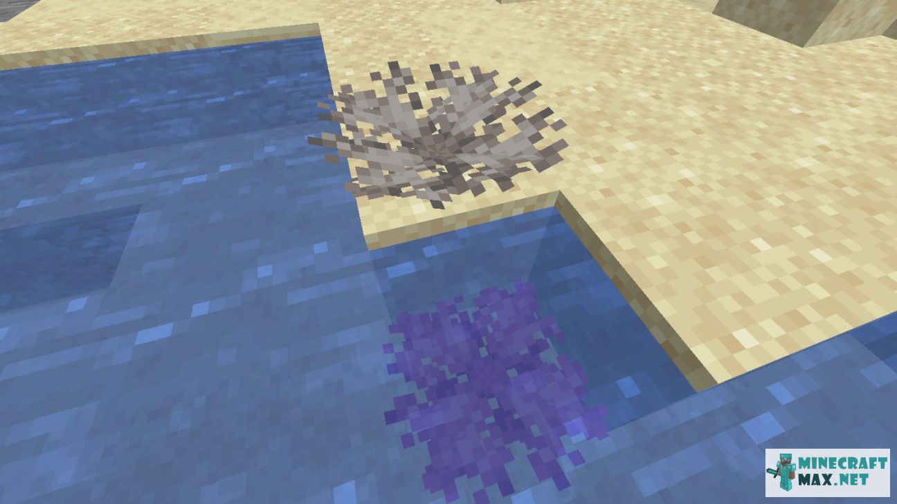 Dead Brain Coral Fan in Minecraft | Screenshot 1