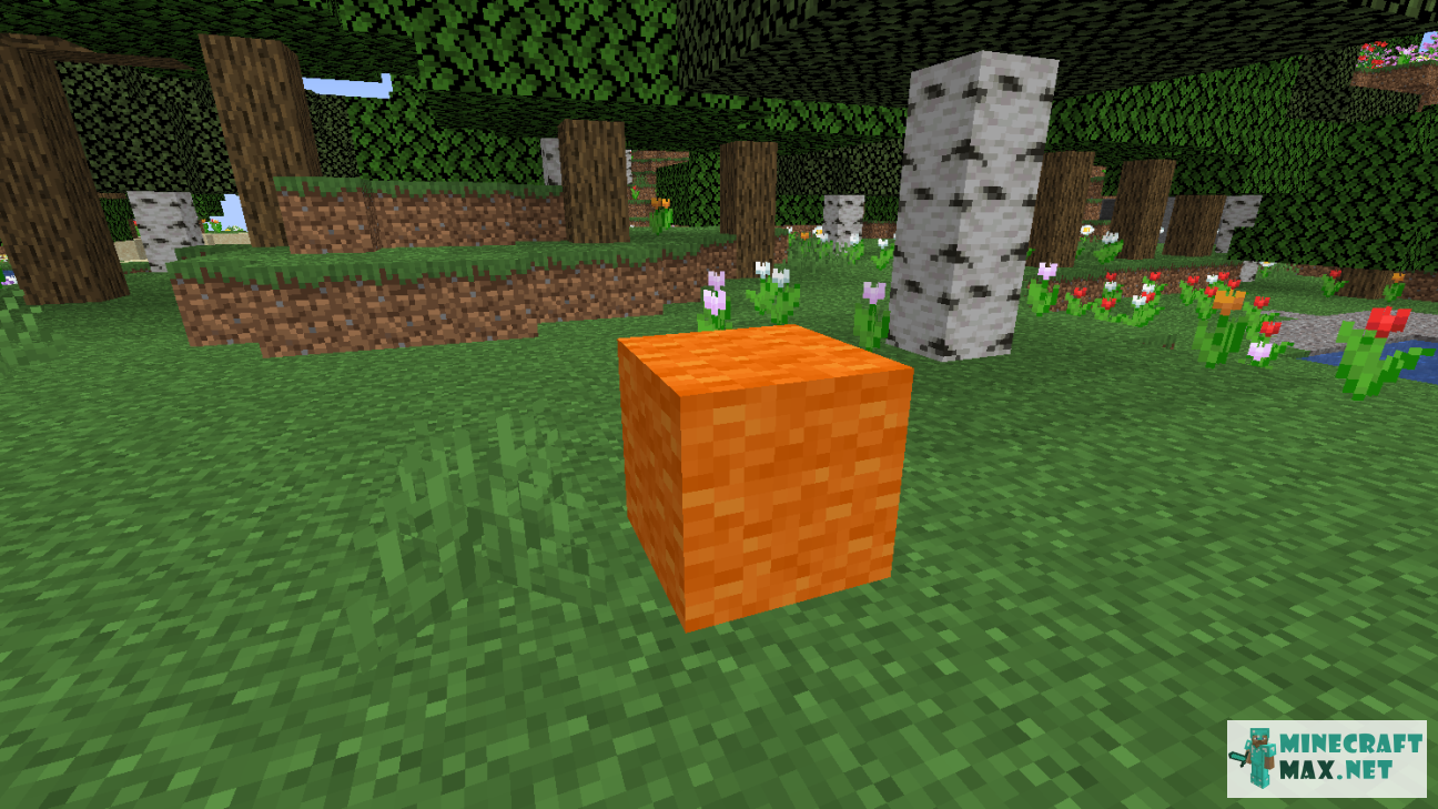 Modem in Minecraft | Screenshot 1151