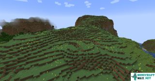Meadow in Minecraft