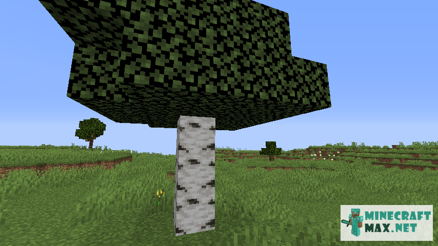 Black gem in Minecraft | Screenshot 275
