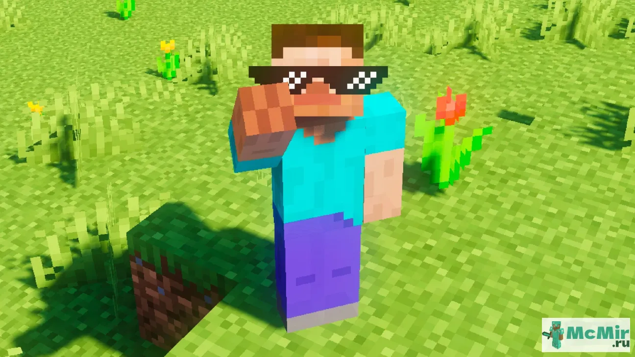 Текстура Супер-очки | Скачать текстуру для Minecraft: 1