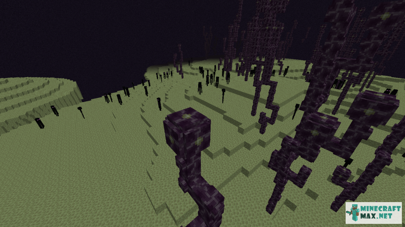 Black gem in Minecraft | Screenshot 1595