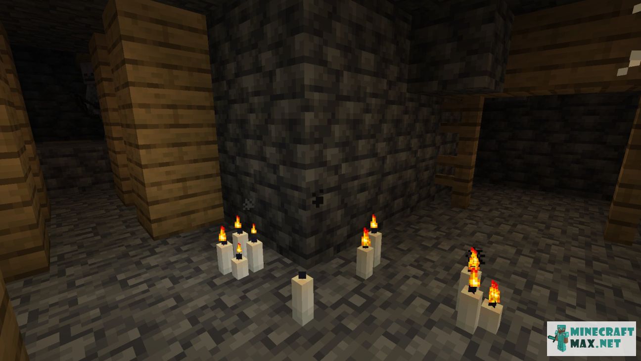 Modem in Minecraft | Screenshot 3276