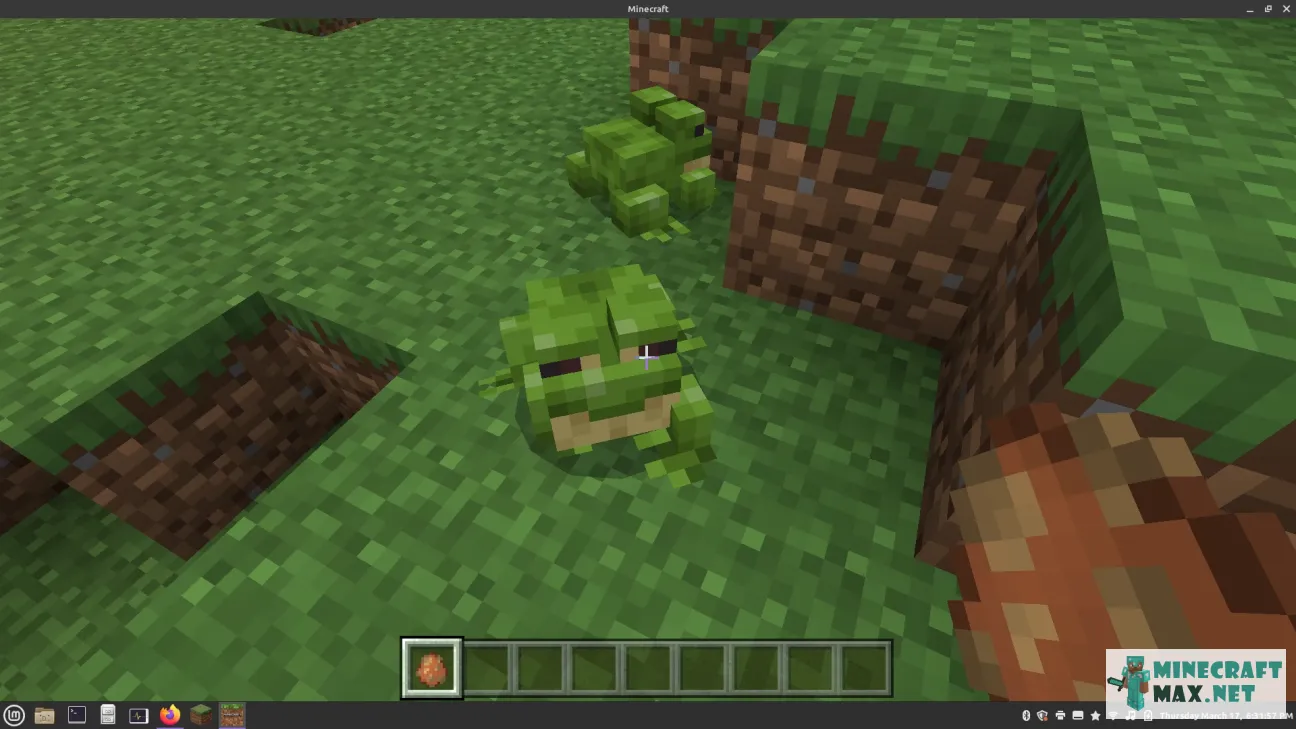 Frog Fix Bedrock And Java | Download texture for Minecraft: 1