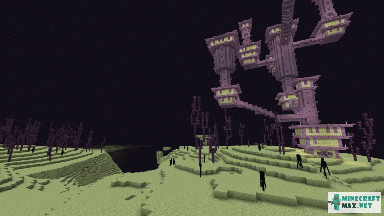 Black gem in Minecraft | Screenshot 3539