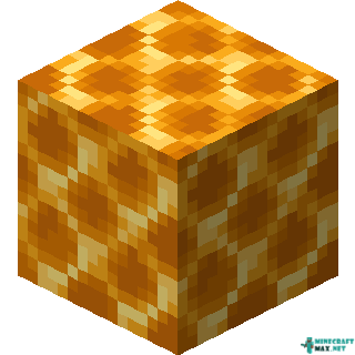 Honeycomb Block in Minecraft
