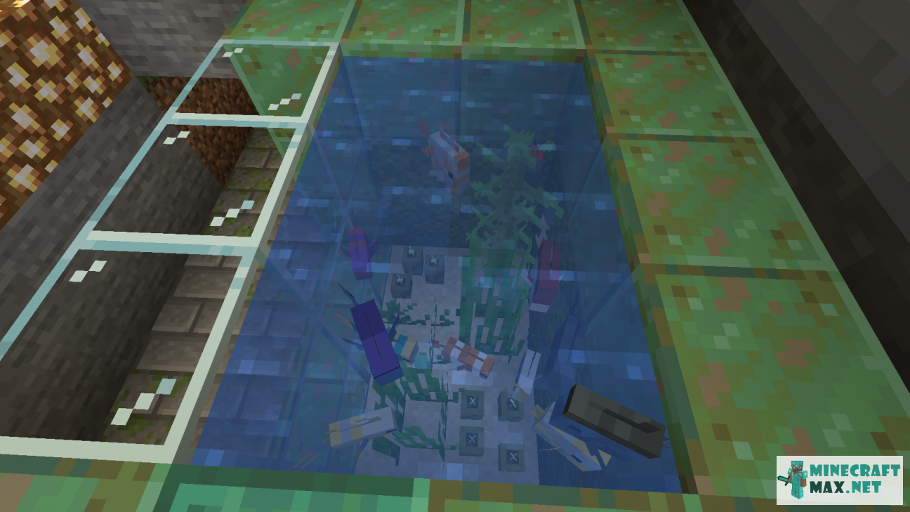 Veiciet uzdevumu Сделать аквариум с тропическими рыбками programmā Minecraft | Screenshot 9