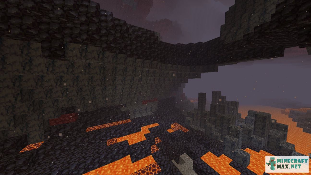 Black gem in Minecraft | Screenshot 1024