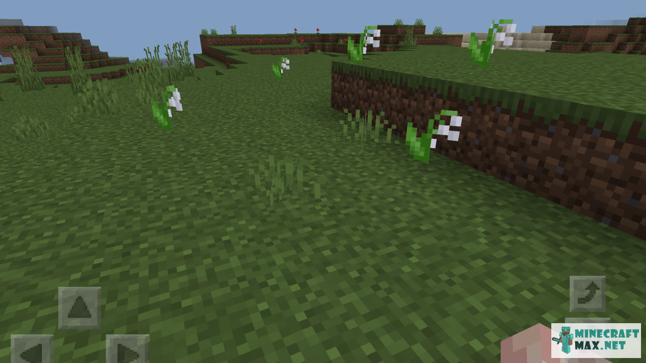 Quests Find the lily of the valley flower for Minecraft | Screenshot 1