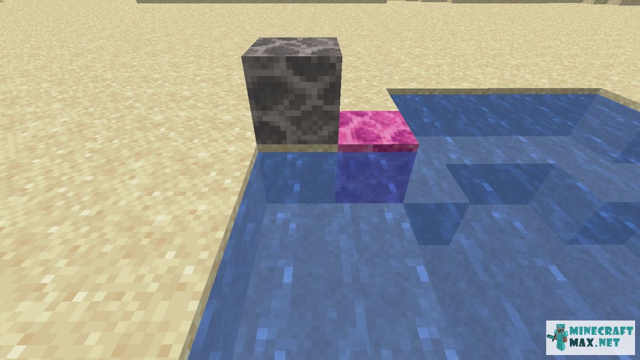 Dead Brain Coral Block in Minecraft | Screenshot 1