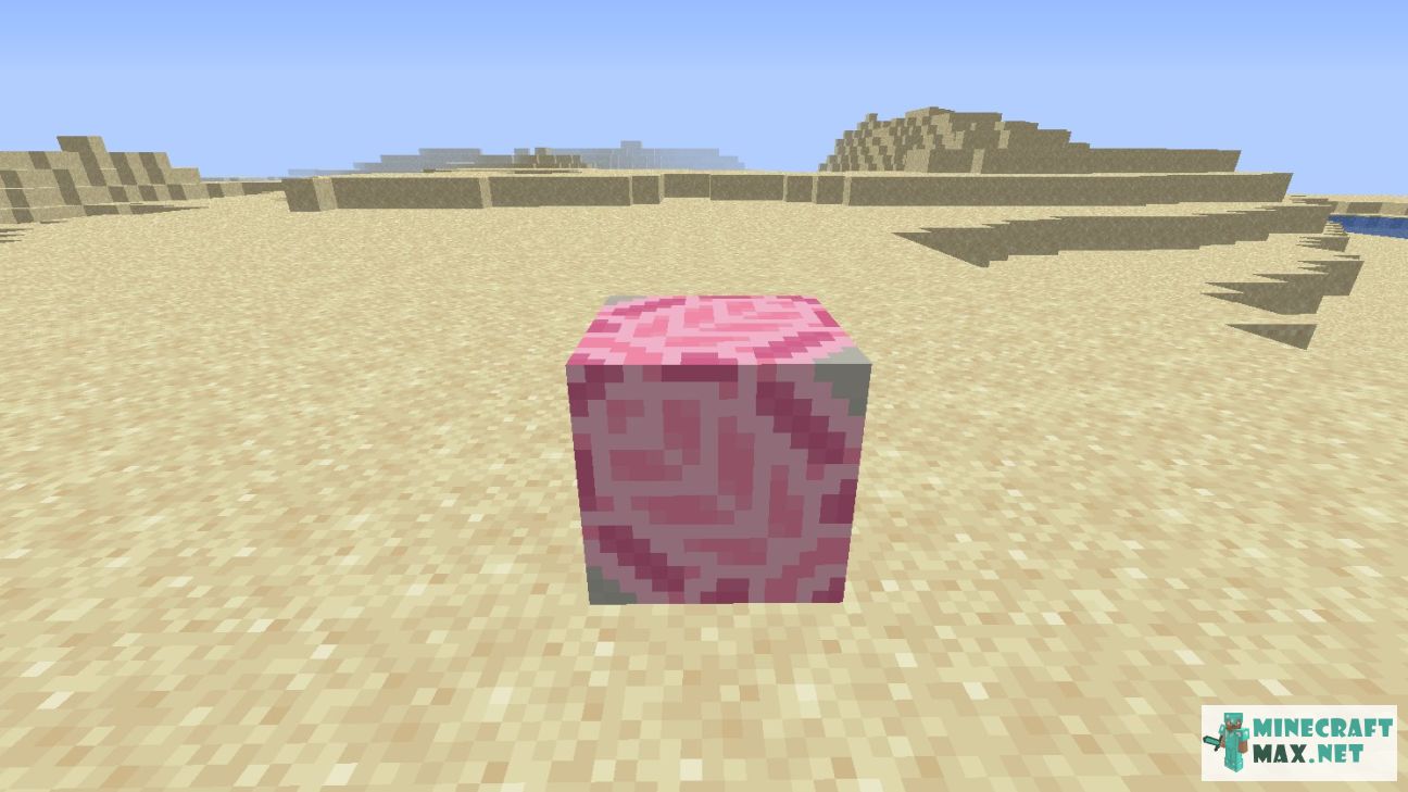 Black gem in Minecraft | Screenshot 2311