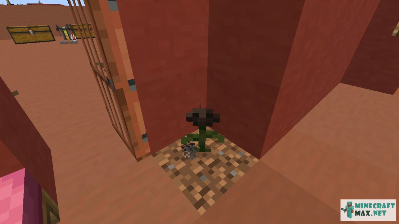 Black gem in Minecraft | Screenshot 2088
