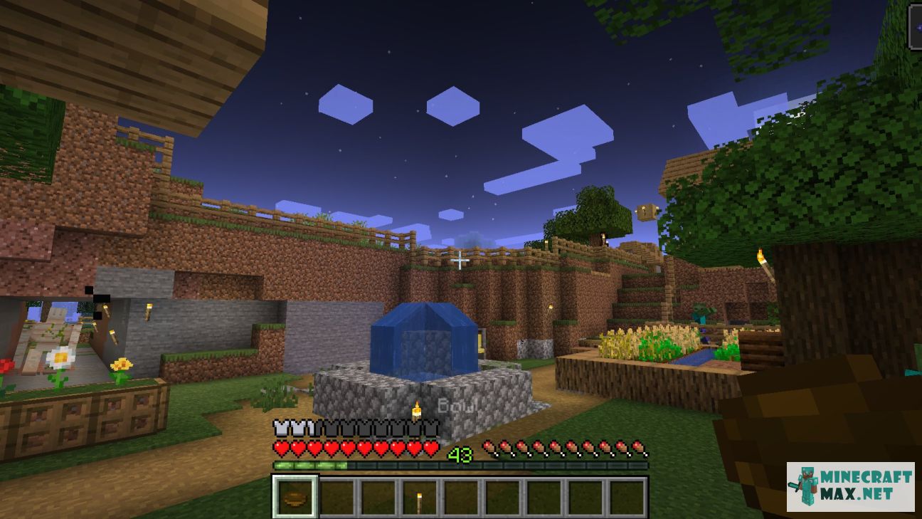 Black gem in Minecraft | Screenshot 3201