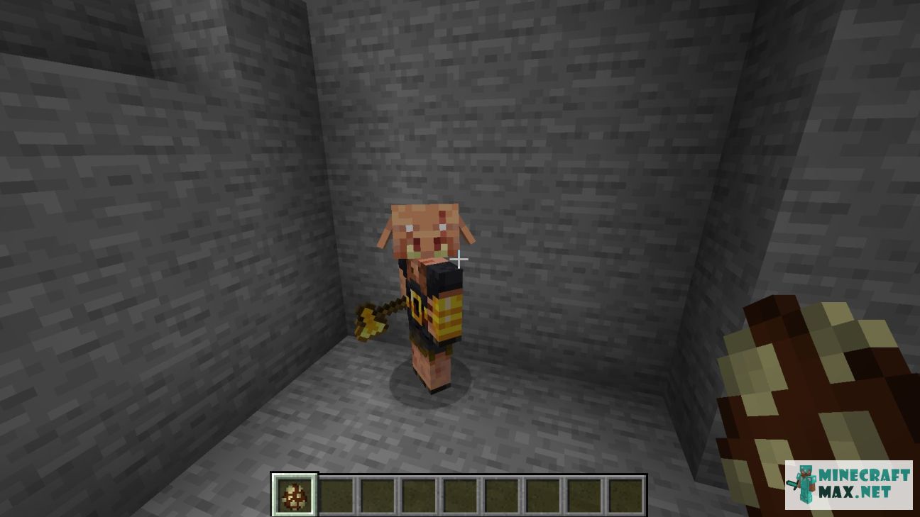 Modem in Minecraft | Screenshot 3465