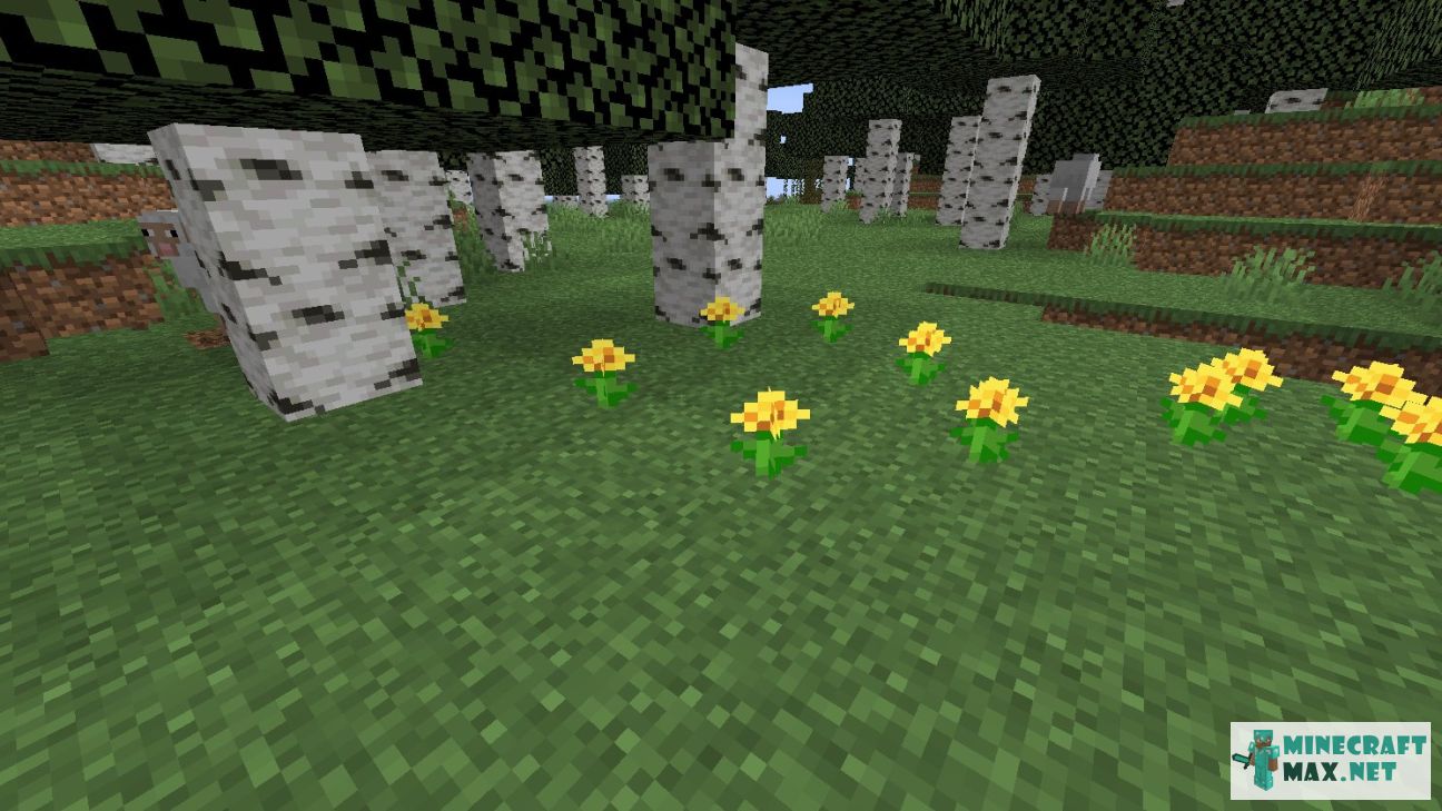 Dandelion | How to craft dandelion in Minecraft | Minecraft Wiki